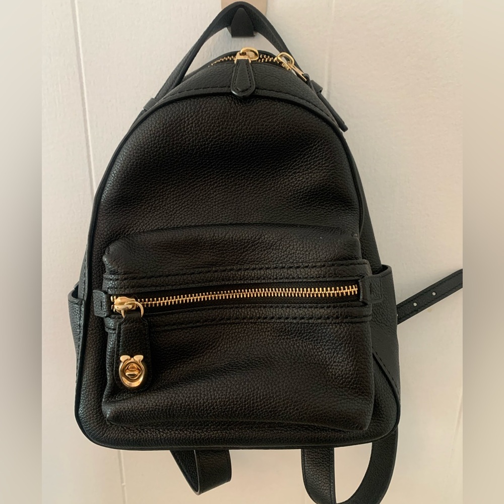 COPY - Coach leather Backpack